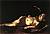 Caravaggio - Cupidon dormant.jpg